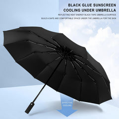 Windproof 10 Ribs Umbrella Auto Folding Compact Umbrella