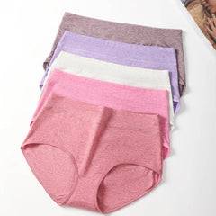 5 Pack Plus Size Seamless High Rise Panties Set