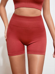 2-Piece High Stretch Sport Bra & Biker Shorts Set for Women