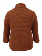 Solid Long Sleeve Turtleneck Sweater