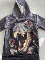 Kids Dinosaur Tyrannosaurus Hoodie 3D Print Sweatshirt Hip Hop Street Style