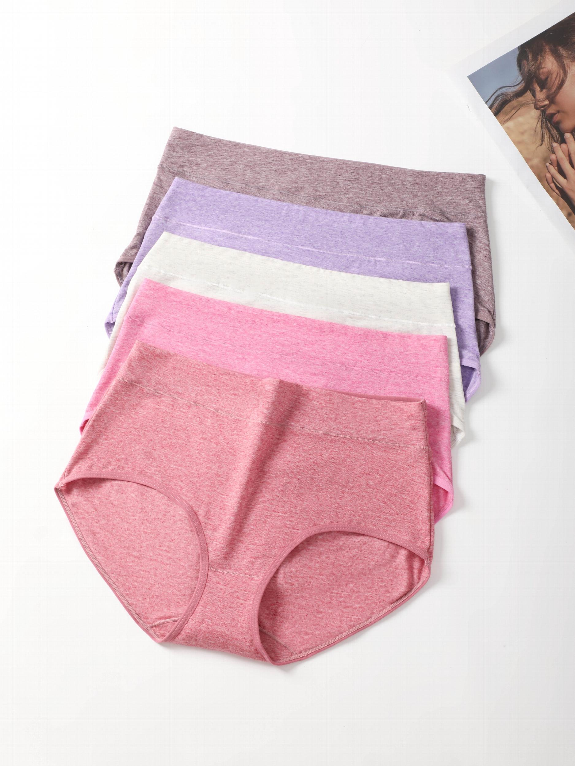 5 Pack Plus Size Seamless High Rise Panties Set
