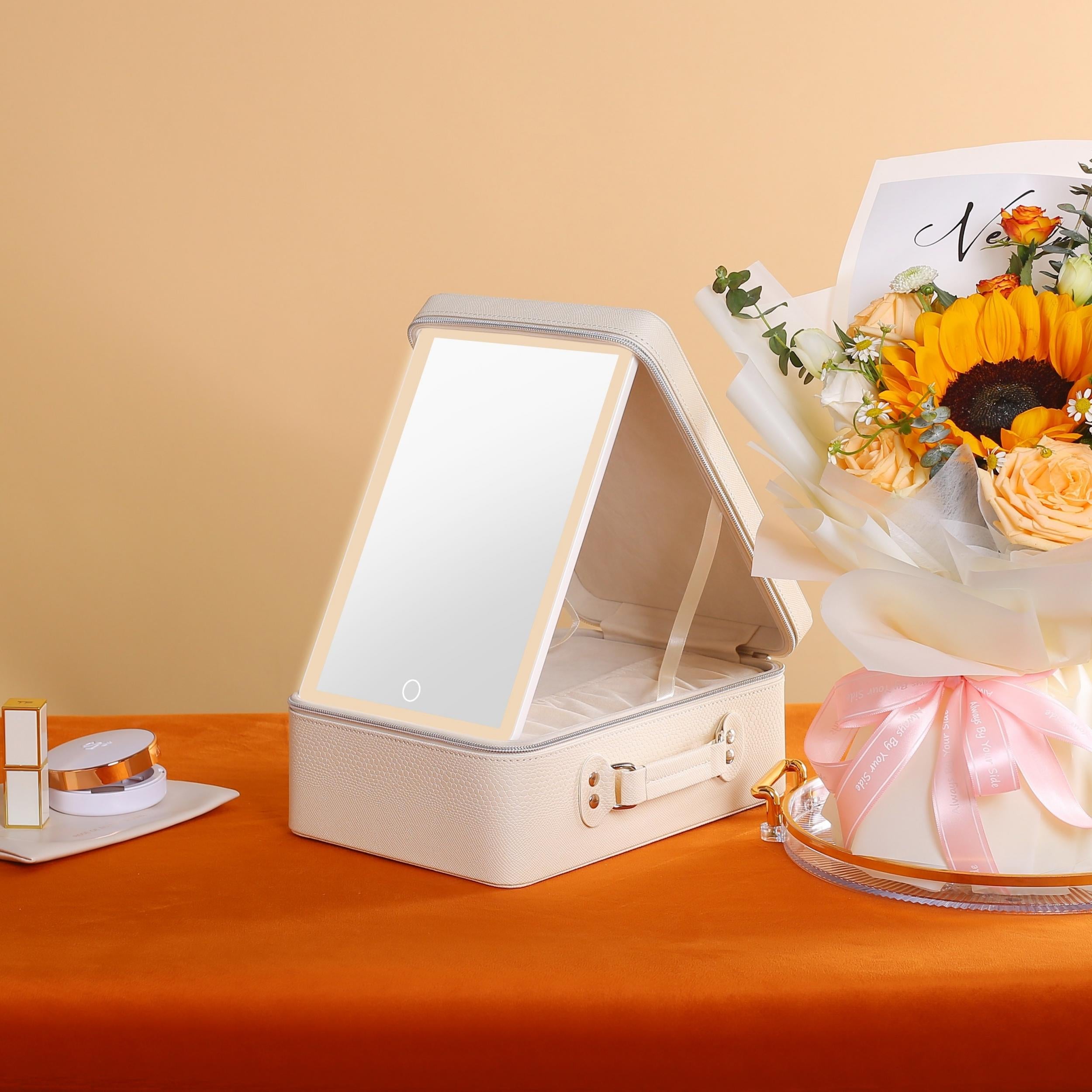 Portable Makeup Case with Mirror & Light
