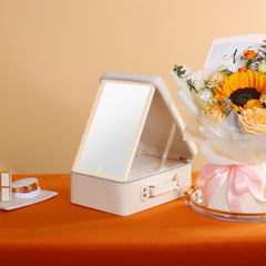 Portable Makeup Case with Mirror & Light