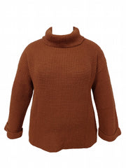 Solid Long Sleeve Turtleneck Sweater