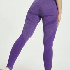 High Waist Stretch Yoga Pants Seamless Leggings Women's Activewear