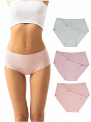 3 Pack Plus Size Seamless High Rise Briefs Set
