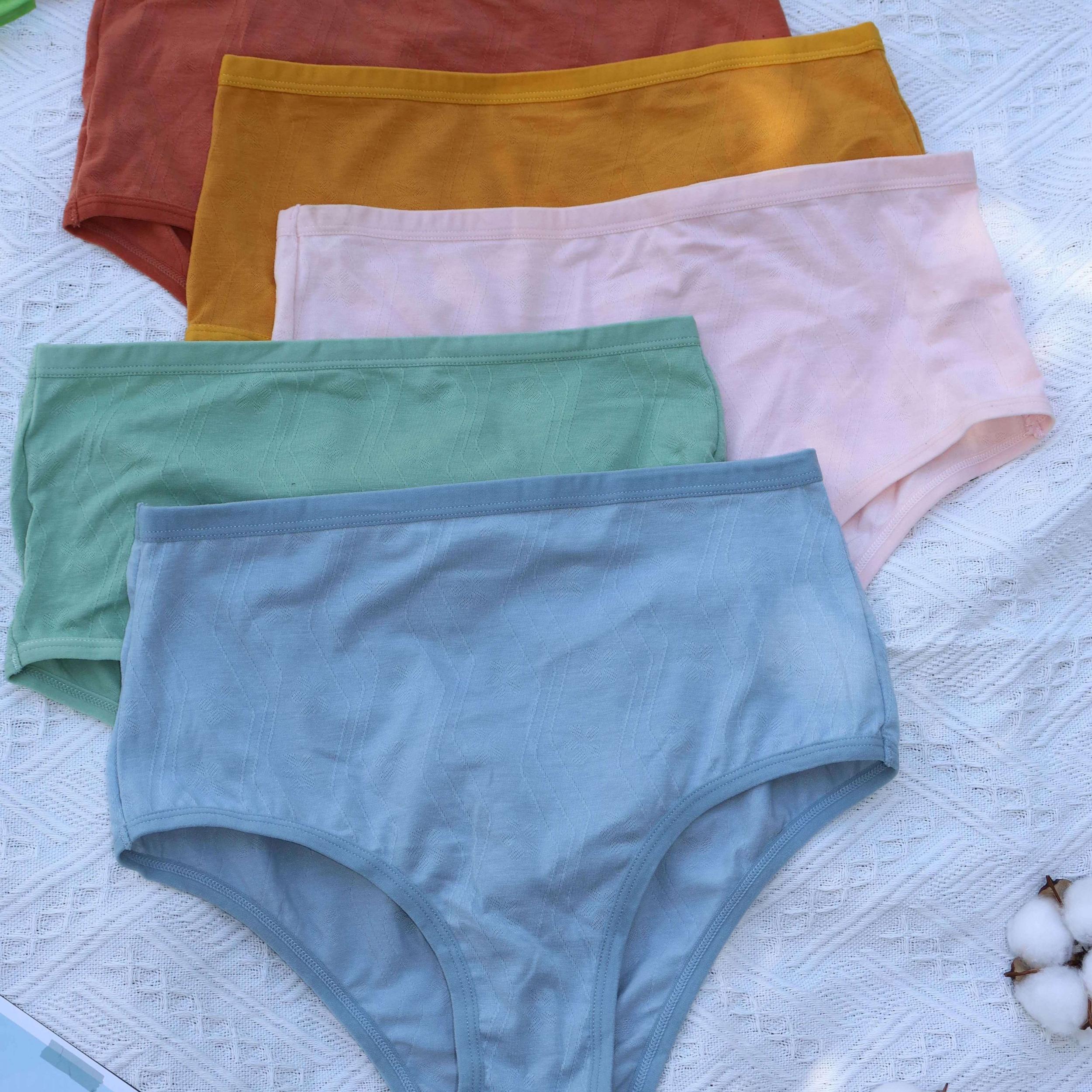 5 Pack Plus Size Mid Waisted Seamless Solid Underwear Set