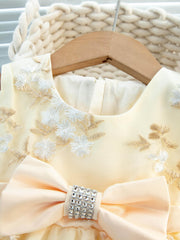 Mesh Princess Dress Embroidered Summer Puffy Cami Dress