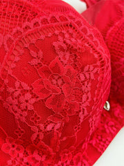 Lace Full Coverage Push Up Bra