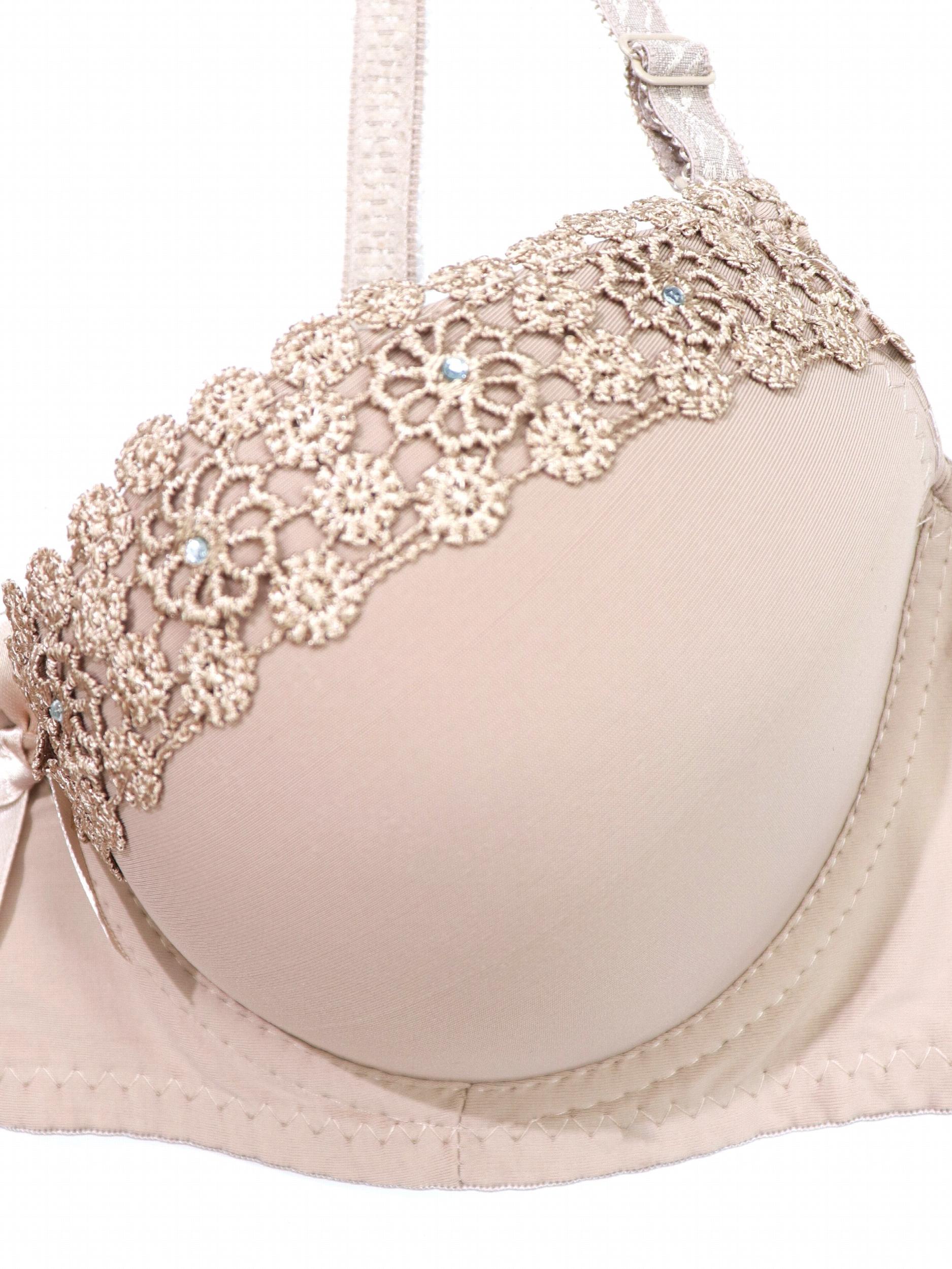 Lace Embroidery Push Up Padded Bra with Center Bow