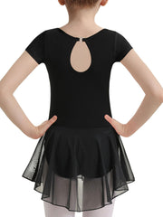 Toddler Girls Ballet Leotard Tutu Dress