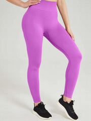 High Stretch Seamless Sports Leggings for Women