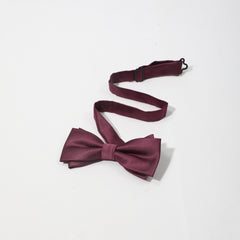 Men's Business Double Layer Bow Tie