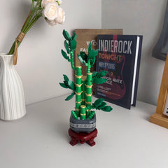 Lucky Bamboo Building Blocks for Creative Home Decor