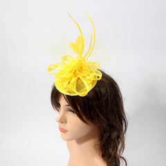 Feather Veil Vintage Fascinators Hat Kentucky Derby Hat For Women