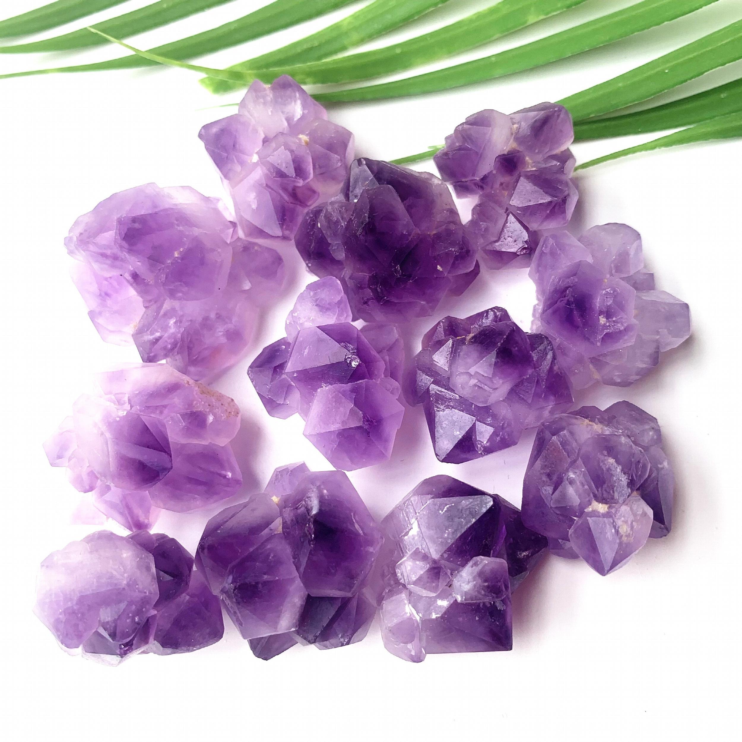 2 Natural Amethyst Flower Cluster Raw Stone Healing Crystals