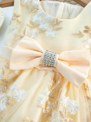 Mesh Princess Dress Embroidered Summer Puffy Cami Dress