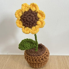 Crochet Kit For Beginners Sunflower Potted Plants Set