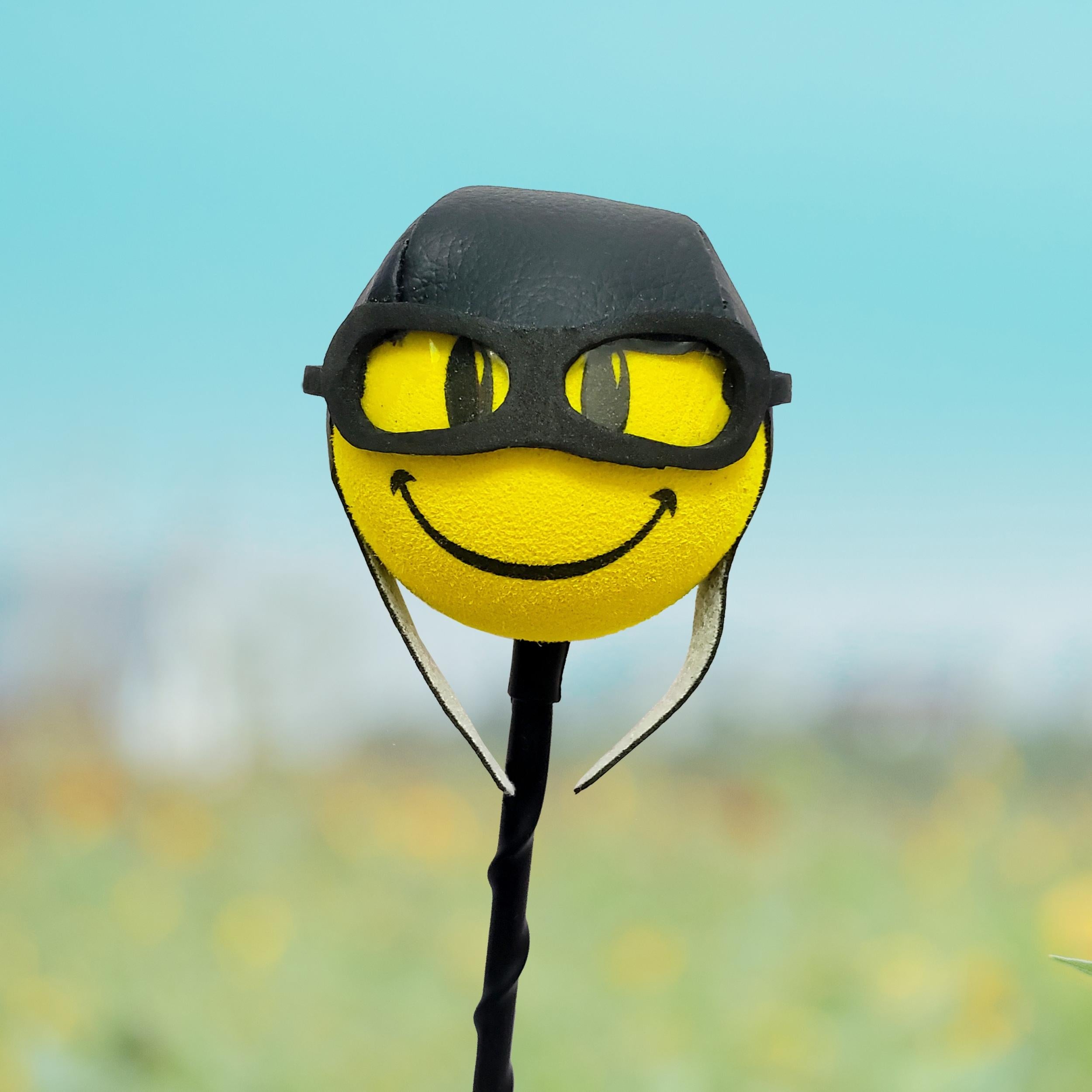 Cute Cartoon Doll Car Antenna Ball