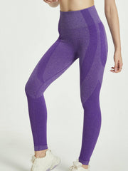 High Waist Stretch Yoga Pants Seamless Leggings Women's Activewear