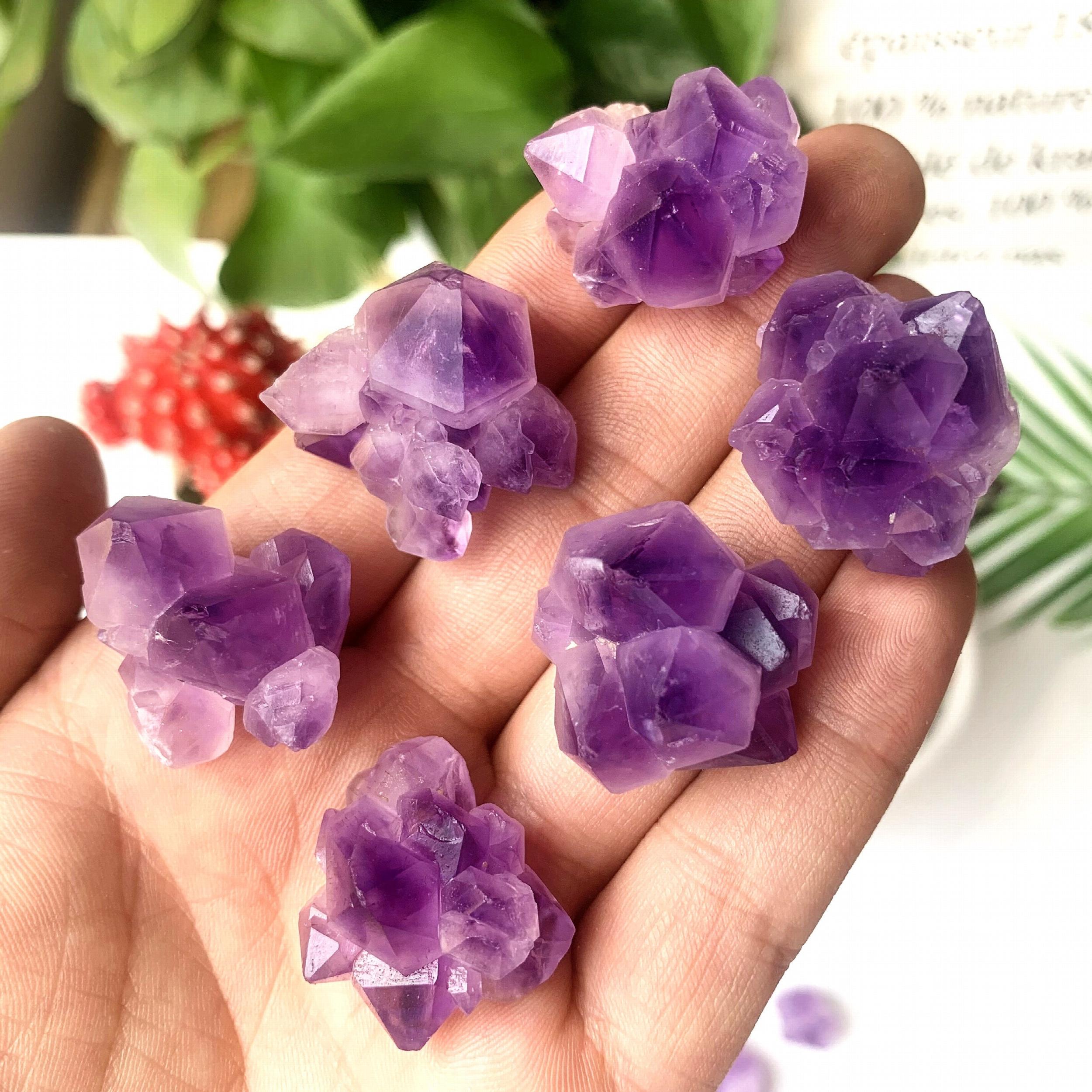 2 Natural Amethyst Flower Cluster Raw Stone Healing Crystals