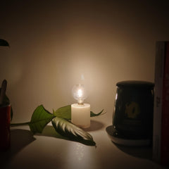 Golden Mini Nightlight 4 in 1 Set Camping & Bedside Light