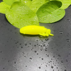 Soft Bionic Floating Insect Fishing Bait for Freshwater