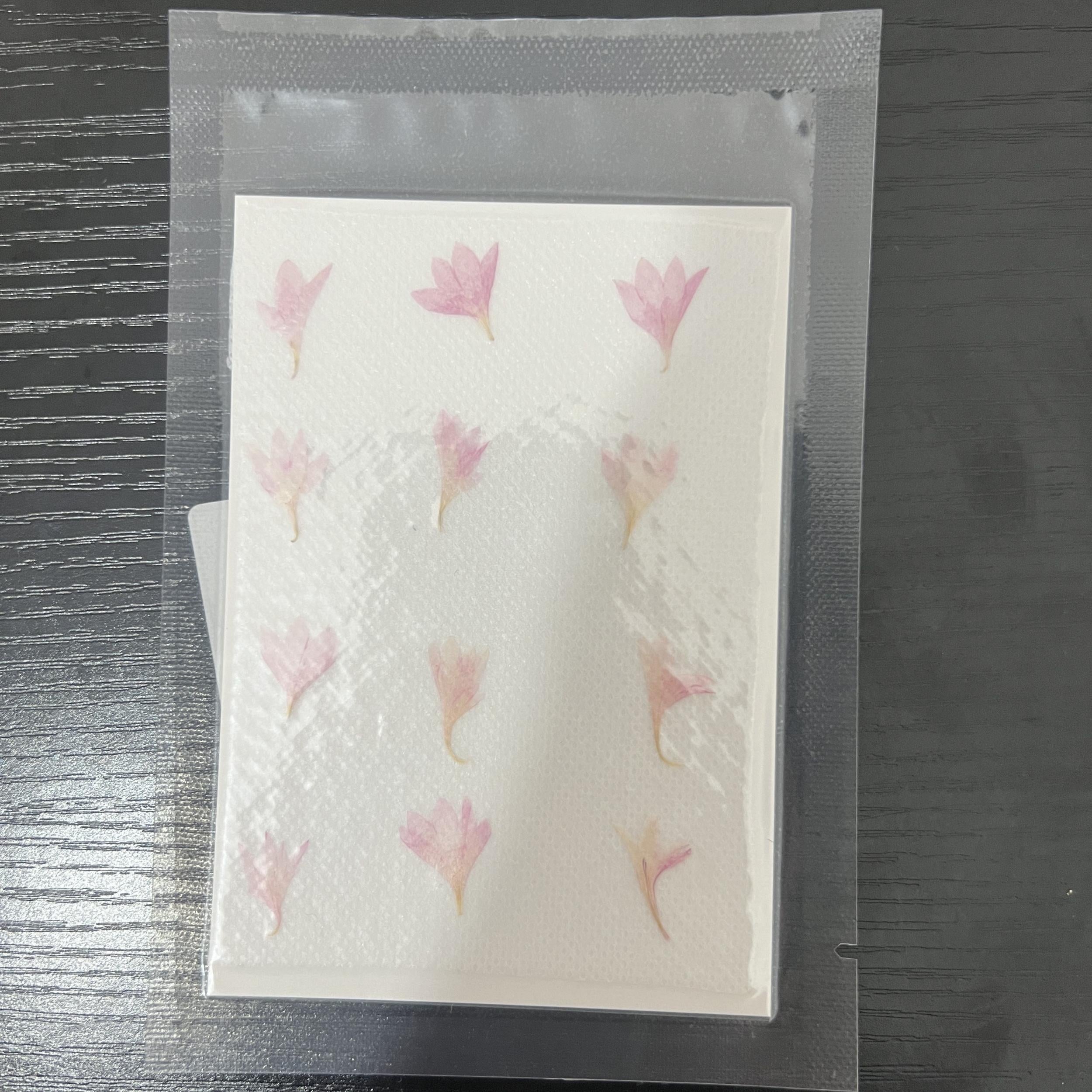 12pcs Natural Cornflower Dry Flower Embossing DIY for Bookmarks Photo Frames
