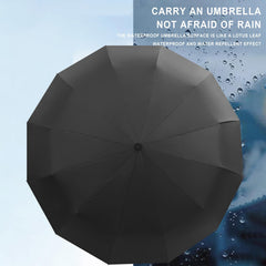Windproof 10 Ribs Umbrella Auto Folding Compact Umbrella