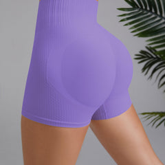 Tummy Control Biker Shorts Women's Activewear
