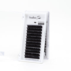 L Curl Cluster Lashes 0.07 Thickness