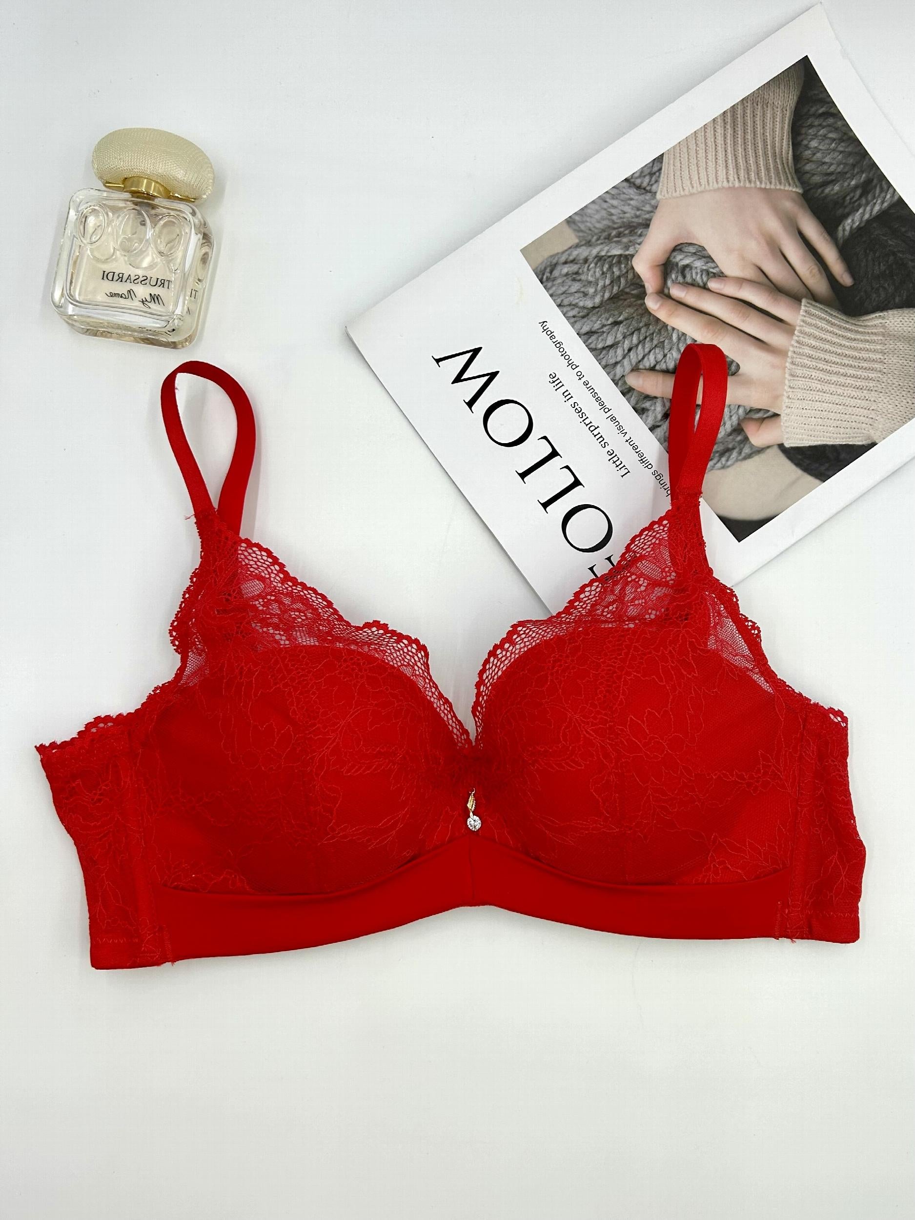 Lace Push Up Bra Comfy Intimates Women's Lingerie