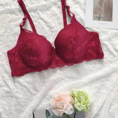 Lace Push Up Bra Comfy & Scallop Trim Bra Women's Lingerie