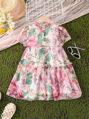 Baby Girls Ruffles Flowers Princess Dress Summer Clothes
