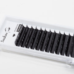 L Curl Cluster Lashes 0.07 Thickness