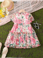 Baby Girls Ruffles Flowers Princess Dress Summer Clothes