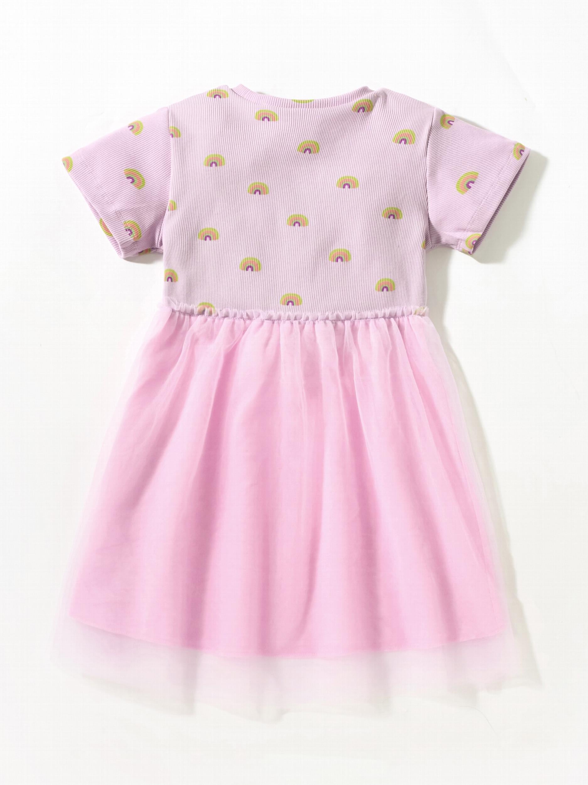 Toddler Girls Rainbow Graphic Mesh Princess Dress For Party