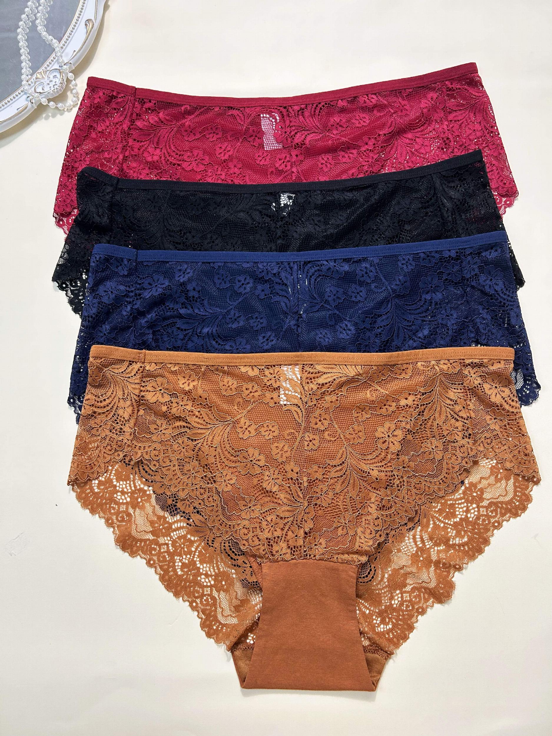 4 Pack Plus Size Lace High Waist Hipster Underwear Set