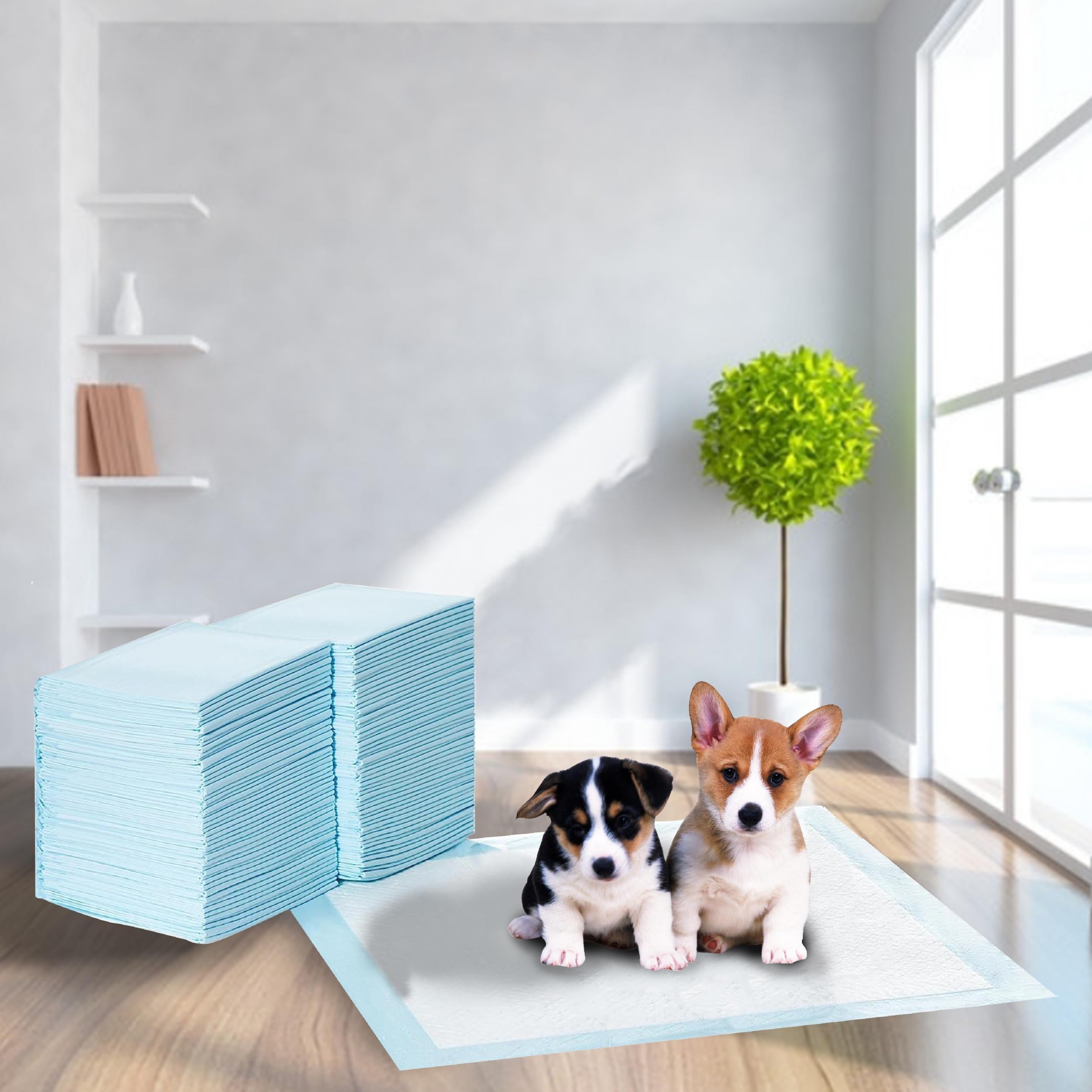 100pcs Dog Potty Training Mats Absorbent Leak Proof Dog Pee Pads