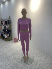 Yoga Set Long Sleeve Crop Top & Slimming Pant Sports Suit
