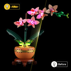 Mini Led Lights for 10343 Orchid Light Building Blocks, No Batteries