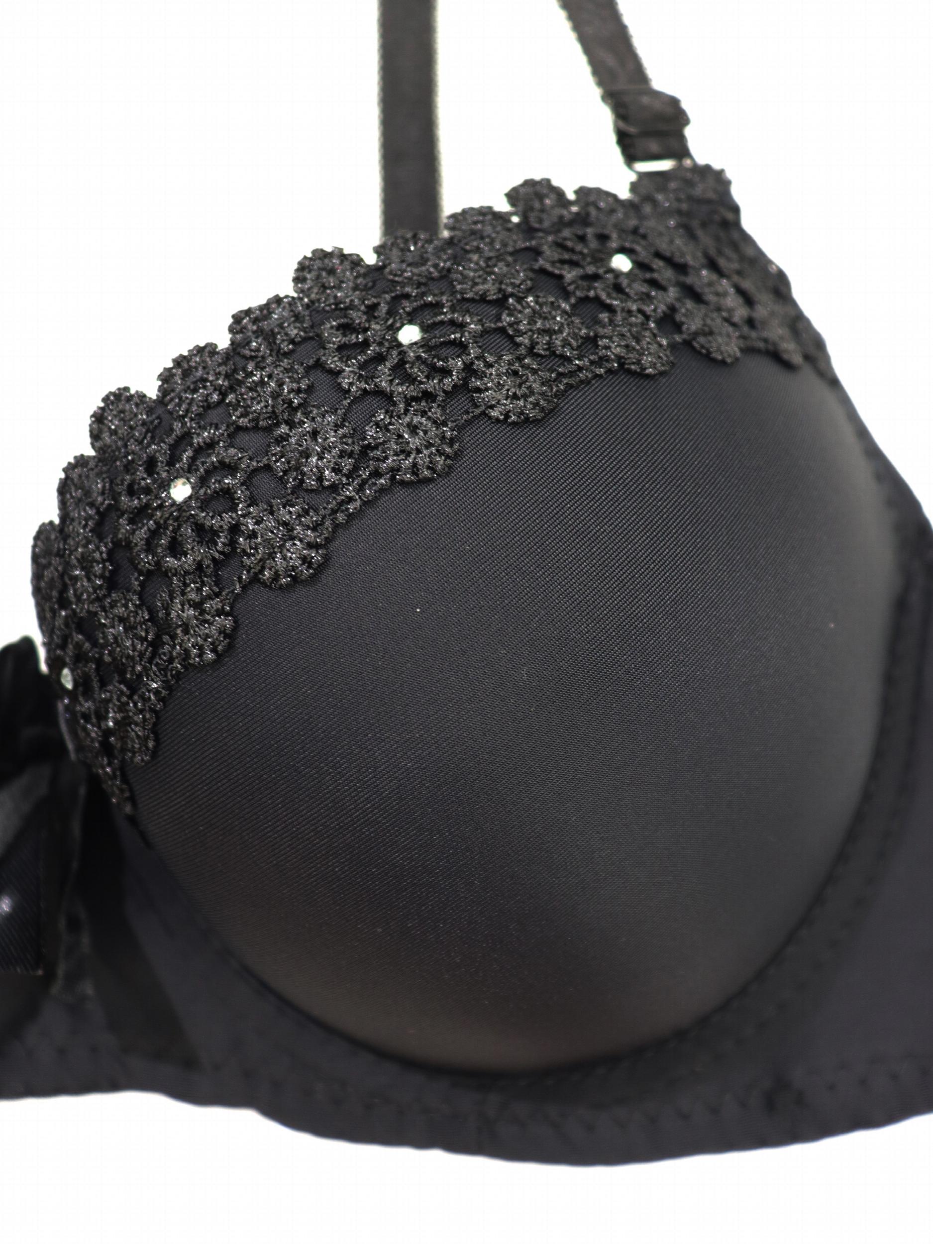Lace Embroidery Push Up Padded Bra Women's Lingerie