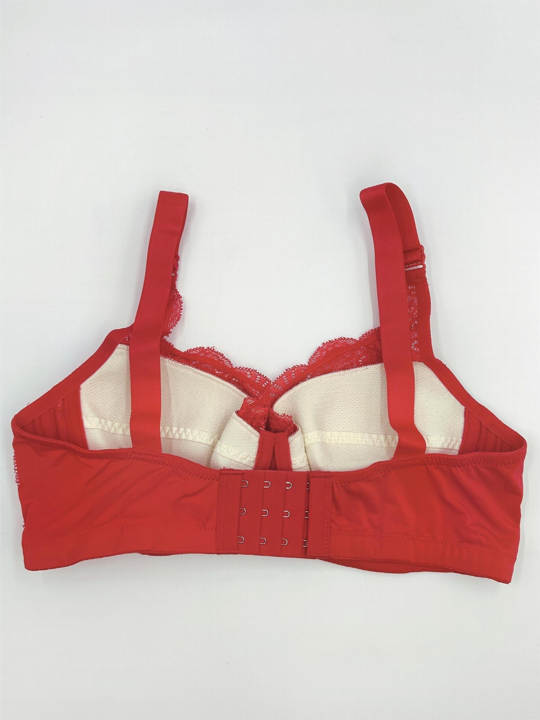Contrast Lace Push Up Bra Comfy & Breathable Intimates