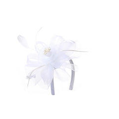 Mesh Feather Tea Party Hat Birdcage Veil Fascinator with Clip