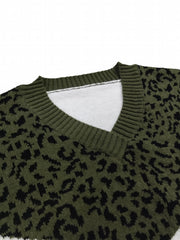 Colorblock Leopard Print V Neck Sweater