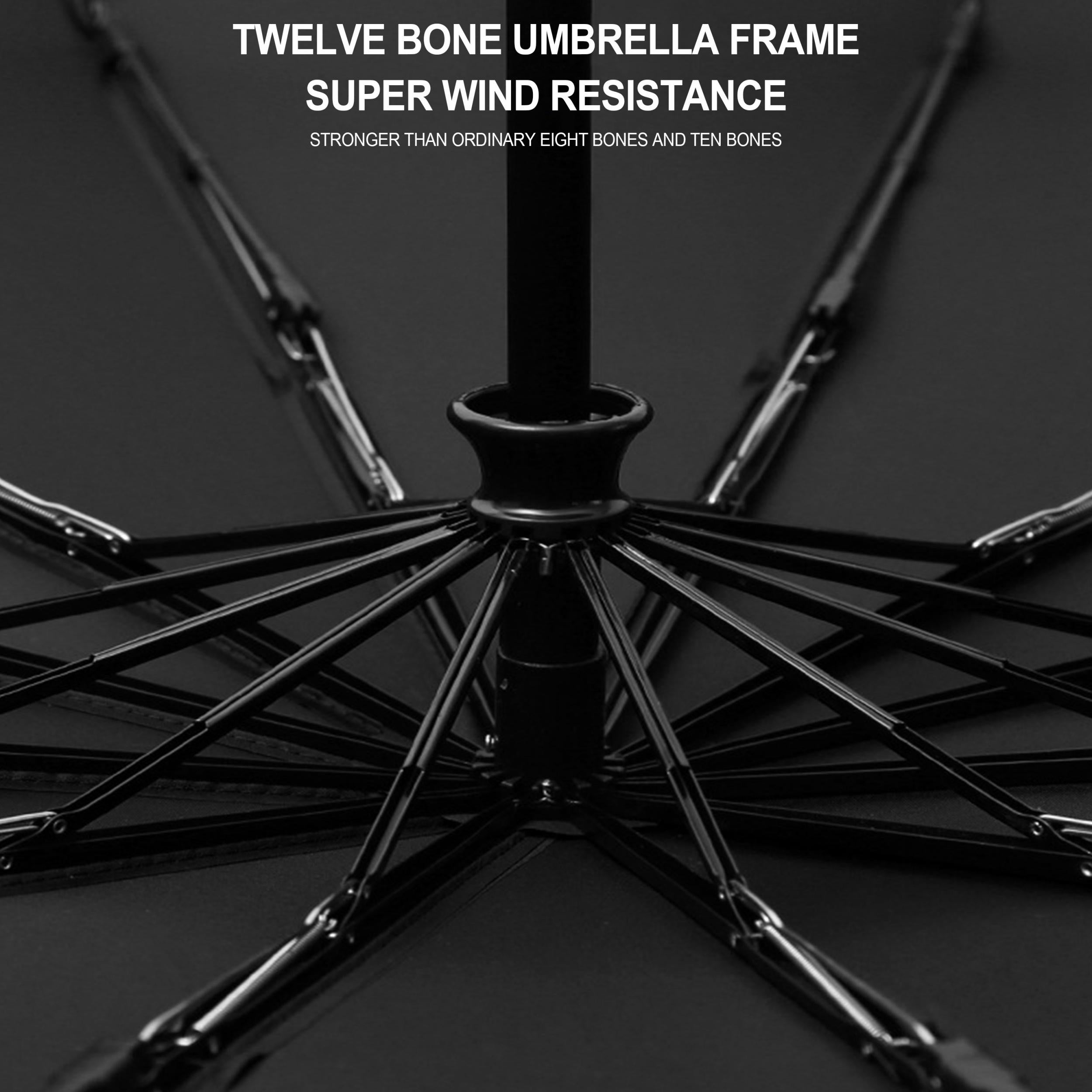 Windproof 10 Ribs Umbrella Auto Folding Compact Umbrella