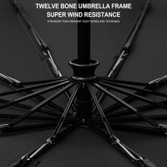 Windproof 10 Ribs Umbrella Auto Folding Compact Umbrella