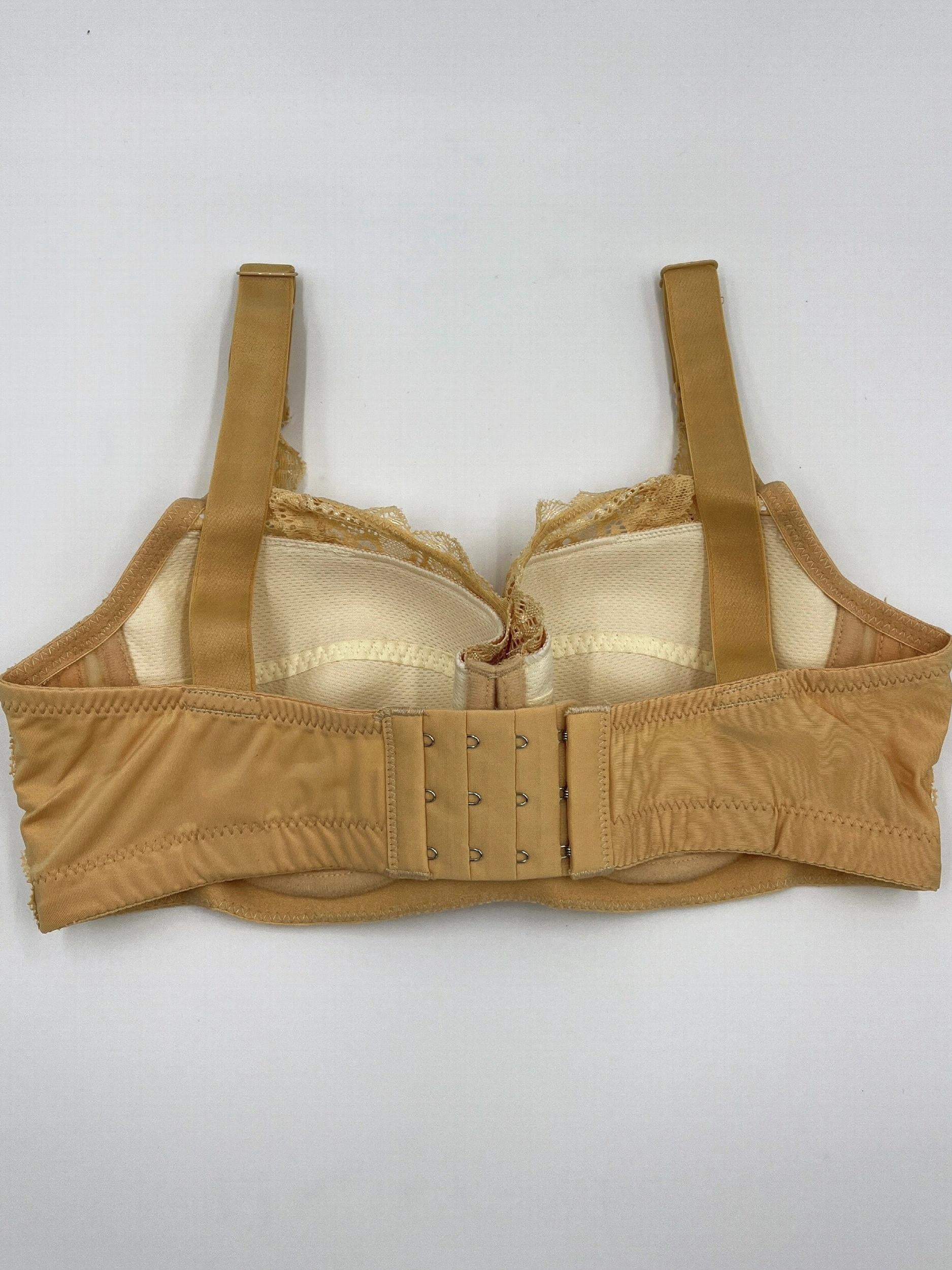 Contrast Lace Push Up Bra Comfy & Breathable Intimates