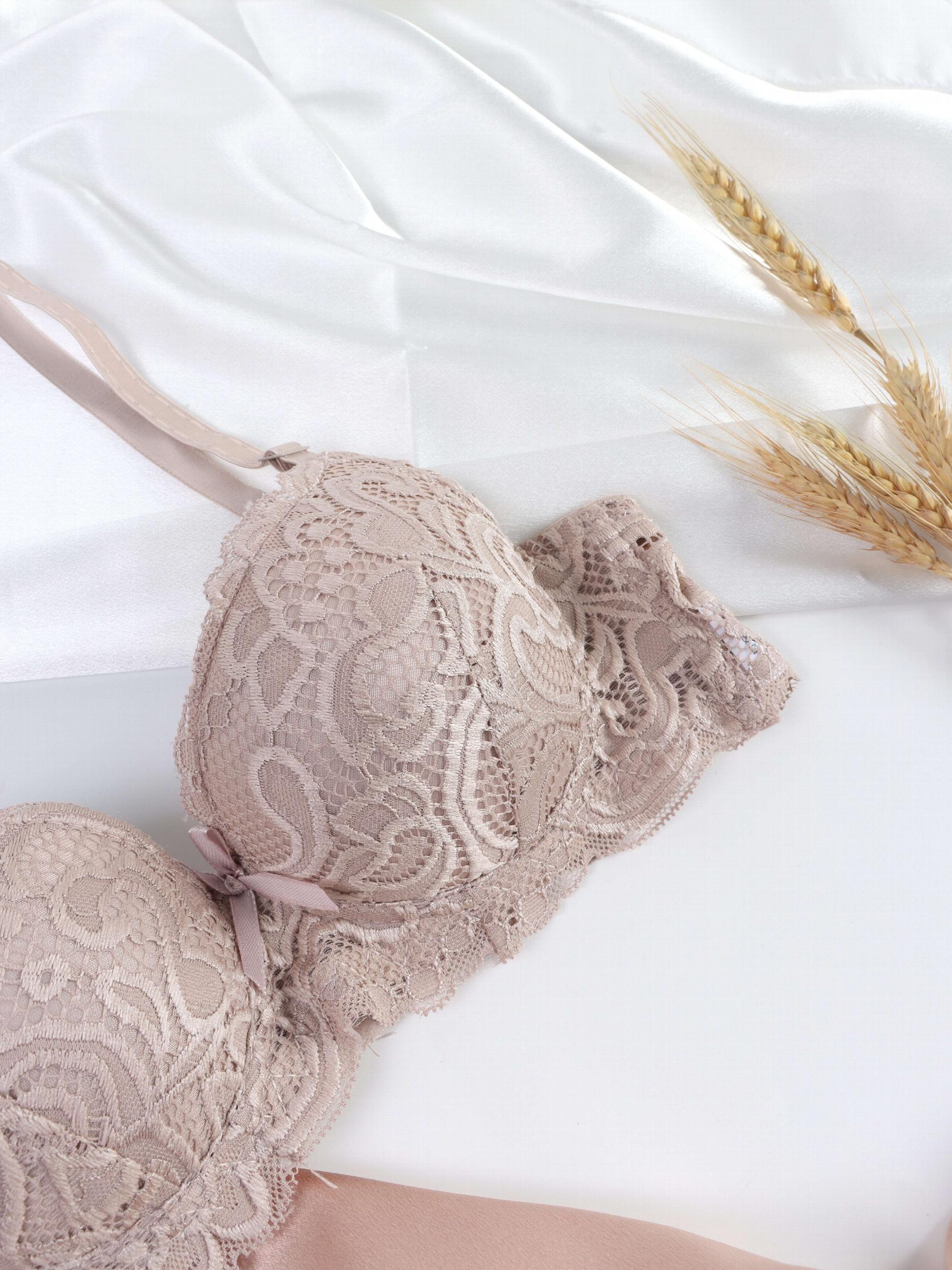 Lace Push Up Bra Comfy & Breathable Women's Lingerie